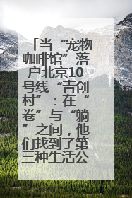 当“宠物咖啡馆”落户北京10号线“青创村”：在“卷”与“躺”之间，他们找到了第三种生活公式