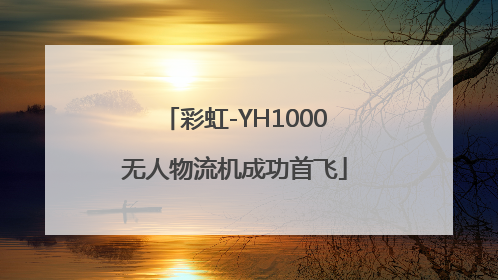 彩虹-YH1000无人物流机成功首飞