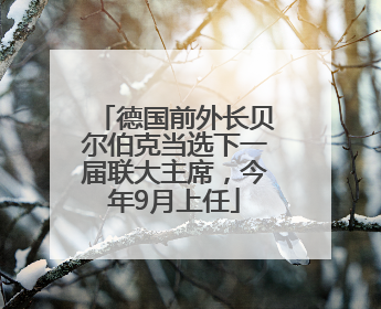 德国前外长贝尔伯克当选下一届联大主席，今年9月上任