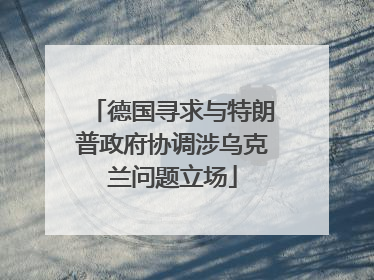德国寻求与特朗普政府协调涉乌克兰问题立场