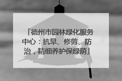 德州市园林绿化服务中心：抗旱、修剪、防治，精细养护保绿荫