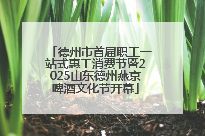 德州市首届职工一站式惠工消费节暨2025山东德州燕京啤酒文化节开幕