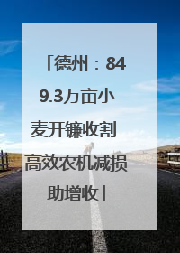 德州：849.3万亩小麦开镰收割 高效农机减损助增收