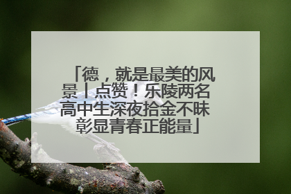 德，就是最美的风景丨点赞！乐陵两名高中生深夜拾金不昧 彰显青春正能量