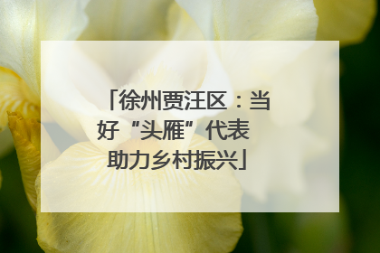 徐州贾汪区：当好“头雁”代表 助力乡村振兴