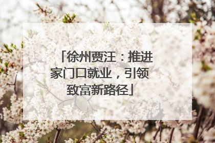 徐州贾汪：推进家门口就业，引领致富新路径