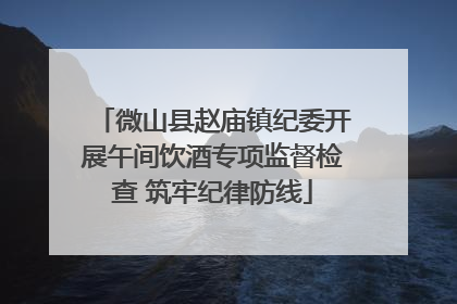 微山县赵庙镇纪委开展午间饮酒专项监督检查 筑牢纪律防线