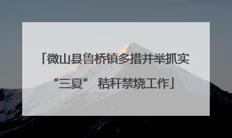 微山县鲁桥镇多措并举抓实 “三夏” 秸秆禁烧工作