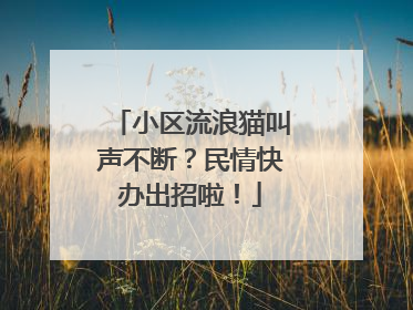 小区流浪猫叫声不断？民情快办出招啦！