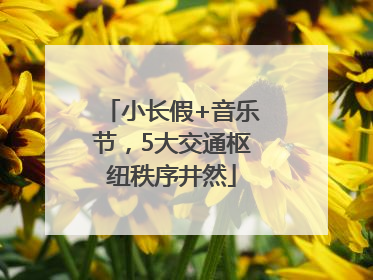 小长假+音乐节，5大交通枢纽秩序井然