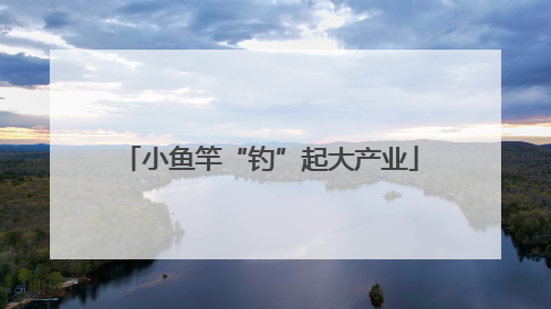 小鱼竿“钓”起大产业