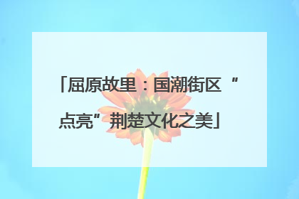 屈原故里：国潮街区“点亮”荆楚文化之美
