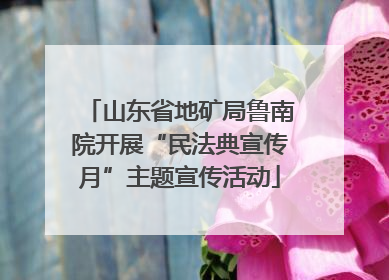 山东省地矿局鲁南院开展“民法典宣传月”主题宣传活动