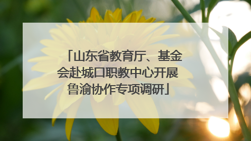 山东省教育厅、基金会赴城口职教中心开展鲁渝协作专项调研