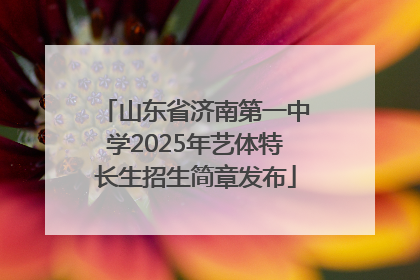 山东省济南第一中学2025年艺体特长生招生简章发布