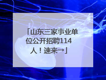 山东三家事业单位公开招聘114人！速来→
