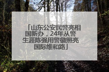 山东公安民警亮相国新办，24年从警生涯陈强用警徽照亮国际维和路