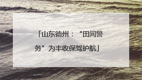 山东德州：“田间警务”为丰收保驾护航