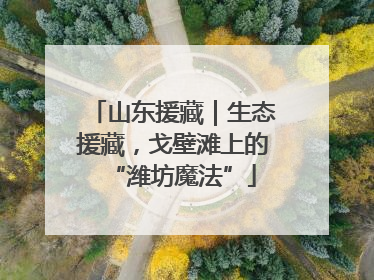 山东援藏｜生态援藏，戈壁滩上的“潍坊魔法”