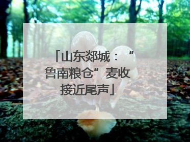 山东郯城：“鲁南粮仓”麦收接近尾声