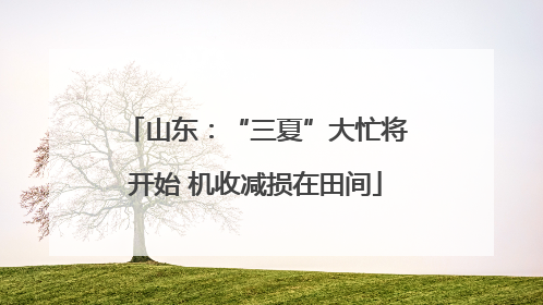 山东：“三夏”大忙将开始 机收减损在田间