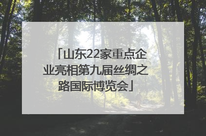 山东22家重点企业亮相第九届丝绸之路国际博览会