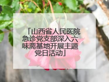 山西省人民医院急诊党支部深入六味斋基地开展主题党日活动