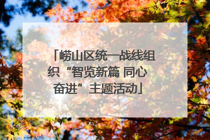 崂山区统一战线组织“智览新篇 同心奋进”主题活动