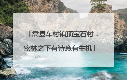 嵩县车村镇顶宝石村：密林之下有诗意有生机