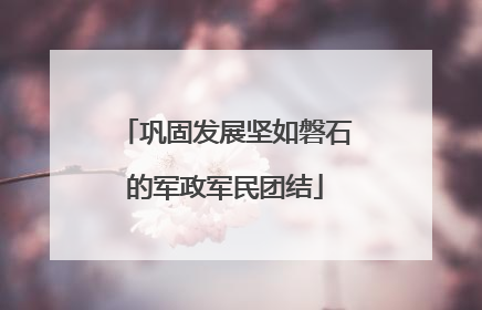 巩固发展坚如磐石的军政军民团结
