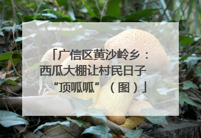广信区黄沙岭乡：西瓜大棚让村民日子“顶呱呱”（图）