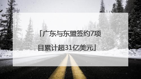 广东与东盟签约7项目累计超31亿美元