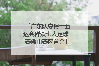广东队夺得十五运会群众七人足球赛佛山赛区首金