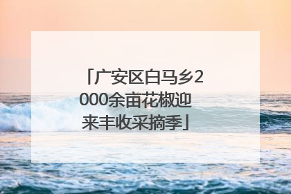 广安区白马乡2000余亩花椒迎来丰收采摘季