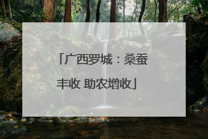 广西罗城：桑蚕丰收 助农增收