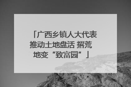 广西乡镇人大代表推动土地盘活 撂荒地变“致富园”