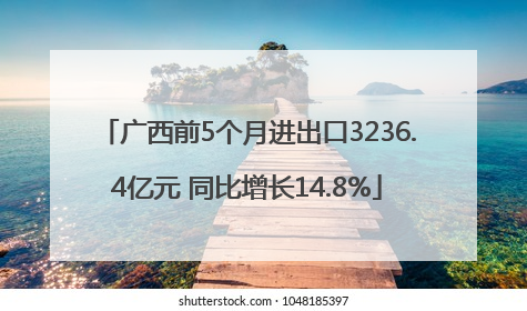 广西前5个月进出口3236.4亿元 同比增长14.8%