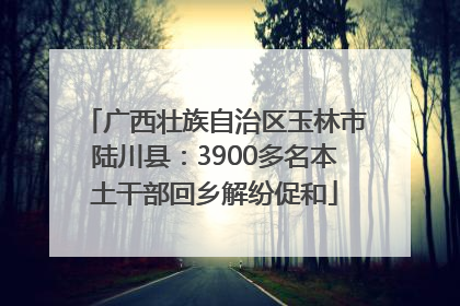 广西壮族自治区玉林市陆川县：3900多名本土干部回乡解纷促和