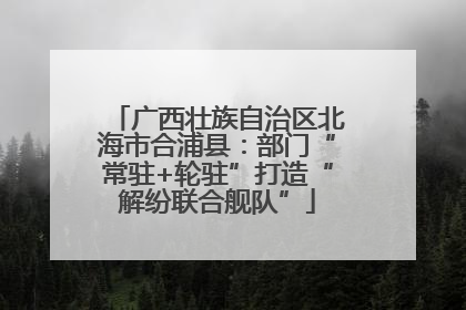 广西壮族自治区北海市合浦县：部门“常驻+轮驻”打造“解纷联合舰队”