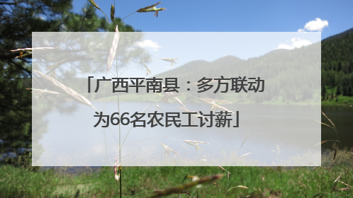 广西平南县：多方联动为66名农民工讨薪