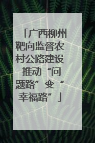 广西柳州靶向监督农村公路建设 推动“问题路”变“幸福路”