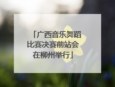 广西音乐舞蹈比赛决赛前站会在柳州举行