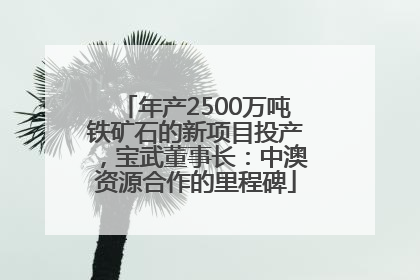 年产2500万吨铁矿石的新项目投产，宝武董事长：中澳资源合作的里程碑