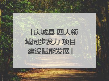 庆城县 四大领域同步发力 项目建设赋能发展