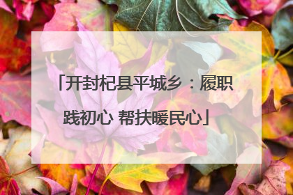 开封杞县平城乡：履职践初心 帮扶暖民心
