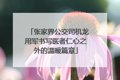 张家界公交司机龙用军书写医者仁心之外的温暖篇章