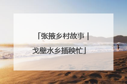 张掖乡村故事｜戈壁水乡插秧忙