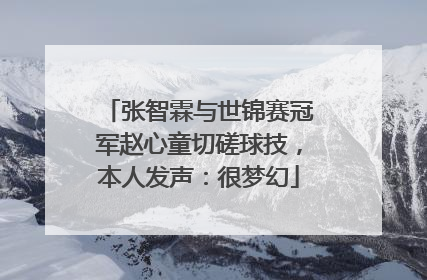 张智霖与世锦赛冠军赵心童切磋球技，本人发声：很梦幻