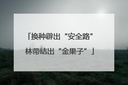换种辟出“安全路” 林带结出“金果子”