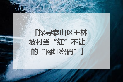 探寻泰山区王林坡村当“红”不让的“网红密码”